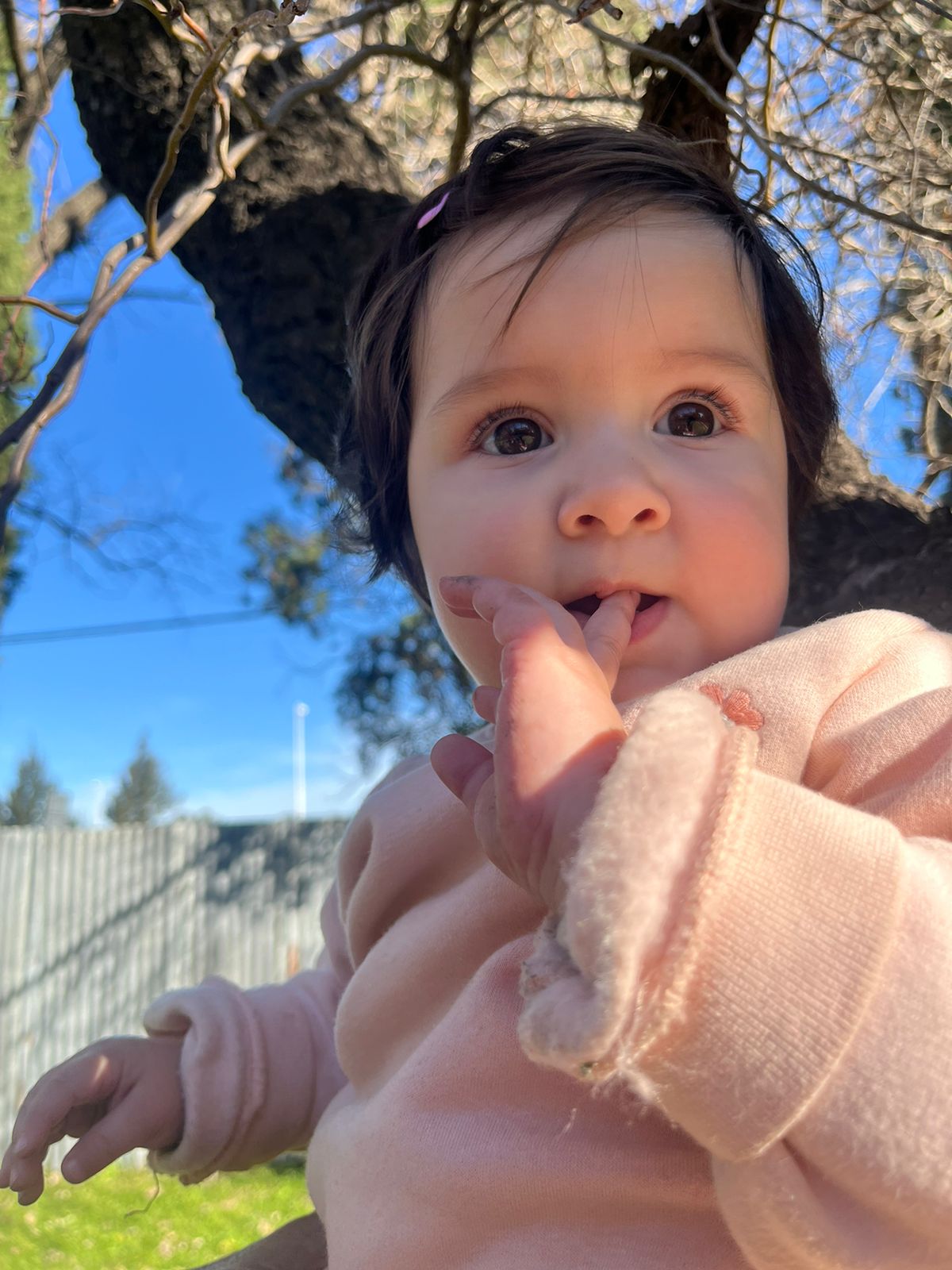 WhatsApp Image 2025-07-20 at 12.21.05.jpeg